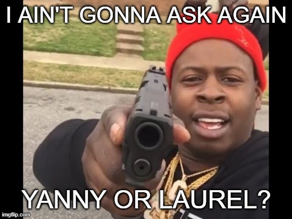 The hardest decisions require the strongest wills |  I AIN'T GONNA ASK AGAIN; YANNY OR LAUREL? | image tagged in gun pointing meme,memes,meme,yanny,laurel | made w/ Imgflip meme maker