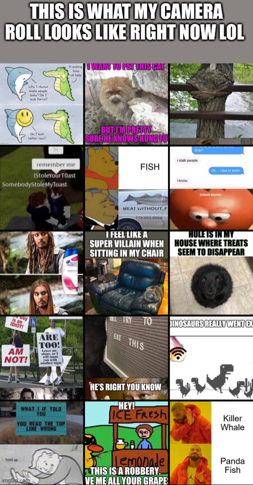 Credits in the comments | THIS IS WHAT MY CAMERA ROLL LOOKS LIKE RIGHT NOW LOL | image tagged in memes,spam | made w/ Imgflip meme maker