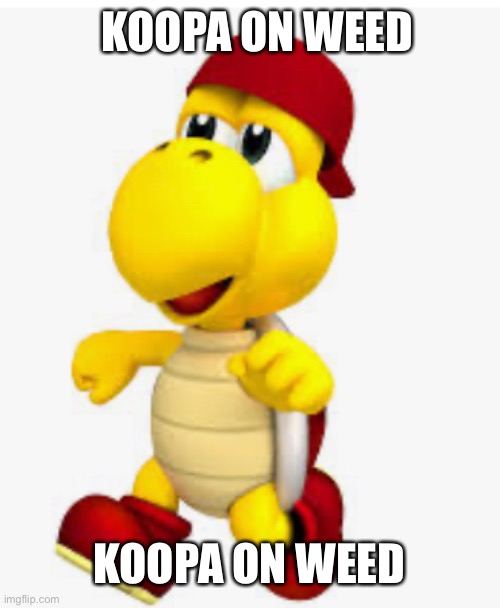 KOOPA ON WEED; KOOPA ON WEED | made w/ Imgflip meme maker