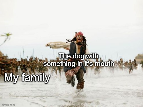Jack Sparrow being chased | The dog with something in it's mouth; My family | image tagged in memes,jack sparrow being chased | made w/ Imgflip meme maker