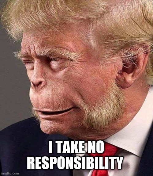 Planet of the Trumps | I TAKE NO RESPONSIBILITY | image tagged in planet of the trumps | made w/ Imgflip meme maker