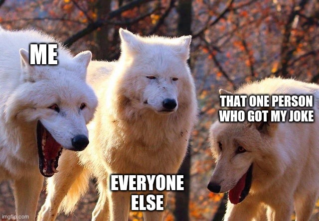 The Three Wolves | ME; THAT ONE PERSON WHO GOT MY JOKE; EVERYONE ELSE | image tagged in the three wolves | made w/ Imgflip meme maker