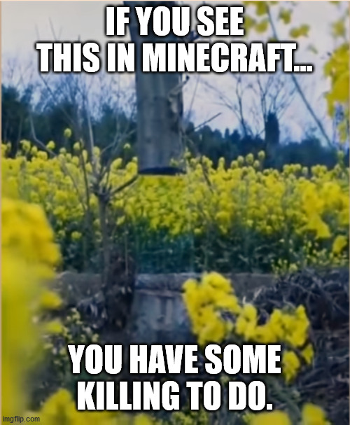 Not killing IRL to be clear. | IF YOU SEE THIS IN MINECRAFT... YOU HAVE SOME KILLING TO DO. | image tagged in noobs,minecraft | made w/ Imgflip meme maker