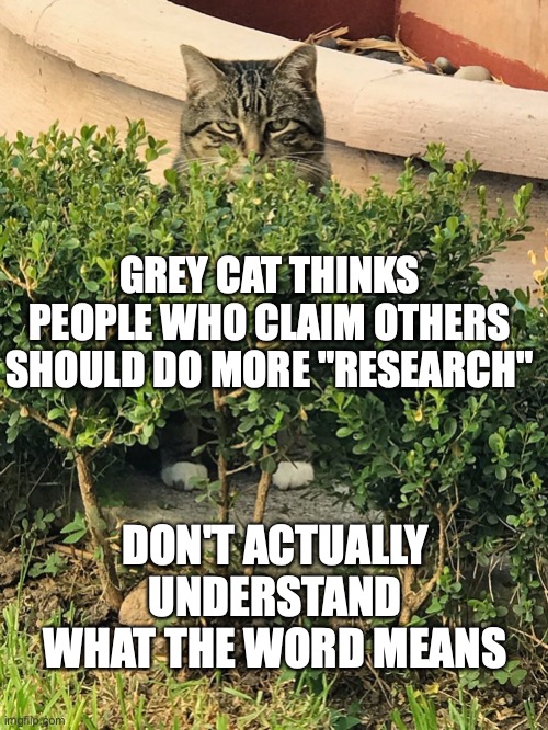Grey cat research | GREY CAT THINKS PEOPLE WHO CLAIM OTHERS SHOULD DO MORE "RESEARCH"; DON'T ACTUALLY UNDERSTAND WHAT THE WORD MEANS | image tagged in cats,politics,funny,research,liberal vs conservative,conspiracy theories | made w/ Imgflip meme maker