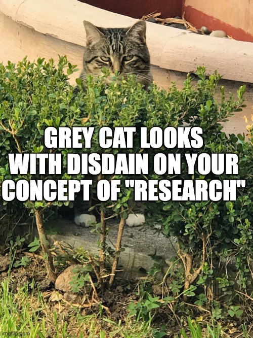 Grey cat research 2 | GREY CAT LOOKS WITH DISDAIN ON YOUR CONCEPT OF "RESEARCH" | image tagged in funny,liberals vs conservatives,conspiracy theories,research,cats | made w/ Imgflip meme maker