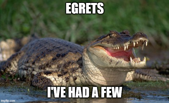 Egrets I've had a few | EGRETS; I'VE HAD A FEW | image tagged in alligator | made w/ Imgflip meme maker