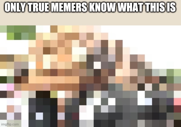 ONLY TRUE MEMERS KNOW WHAT THIS IS | image tagged in memes | made w/ Imgflip meme maker