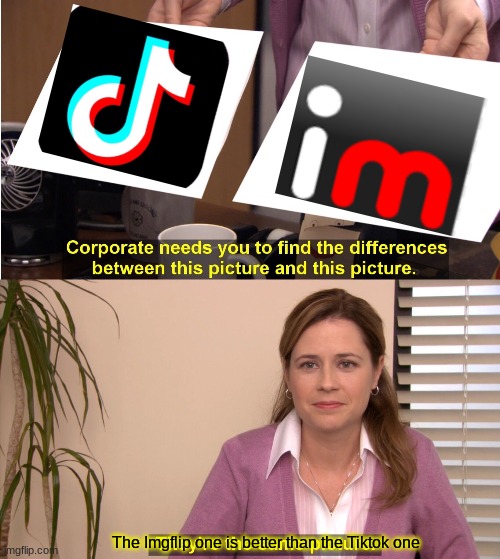 They're The Same Picture Meme | The Imgflip one is better than the Tiktok one | image tagged in memes,they're the same picture | made w/ Imgflip meme maker