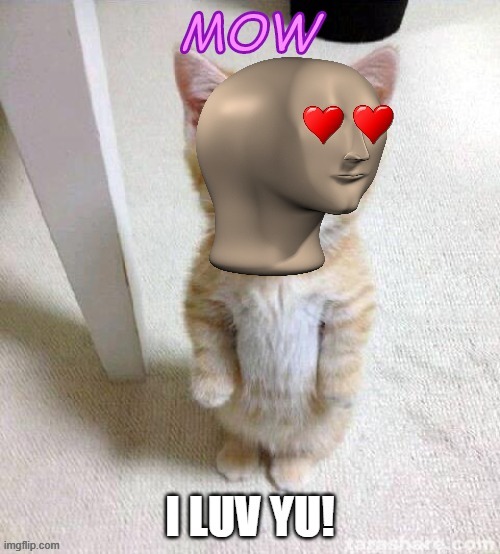 mow meme man cat LUV JuhnyBoi | image tagged in juhnyboi,misspelled,funny,cute,hearts,upvote please | made w/ Imgflip meme maker