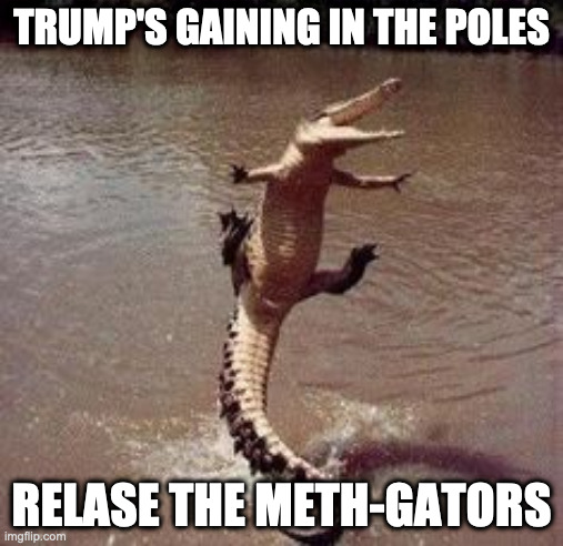 Meth-gators | TRUMP'S GAINING IN THE POLES; RELASE THE METH-GATORS | image tagged in alligator,memes,biden,funny,trump,meth-gators | made w/ Imgflip meme maker