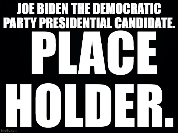 Nobody is voting for Biden. | JOE BIDEN THE DEMOCRATIC PARTY PRESIDENTIAL CANDIDATE. PLACE HOLDER. | image tagged in joe biden,place holder | made w/ Imgflip meme maker