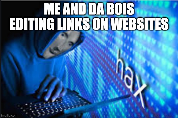 we be hackin' | ME AND DA BOIS EDITING LINKS ON WEBSITES | image tagged in hax | made w/ Imgflip meme maker