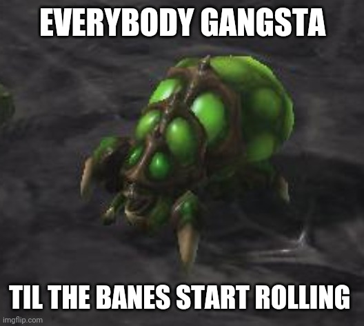 EVERYBODY GANGSTA; TIL THE BANES START ROLLING | made w/ Imgflip meme maker