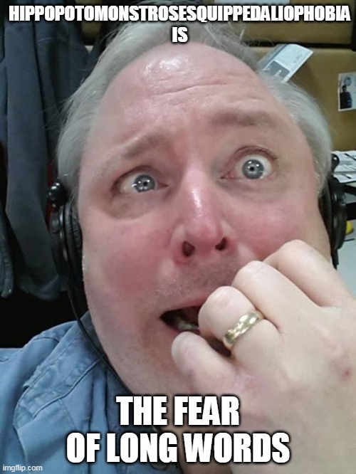 Paranoid Fear Guy | HIPPOPOTOMONSTROSESQUIPPEDALIOPHOBIA IS; THE FEAR OF LONG WORDS | image tagged in paranoid fear guy,funny | made w/ Imgflip meme maker