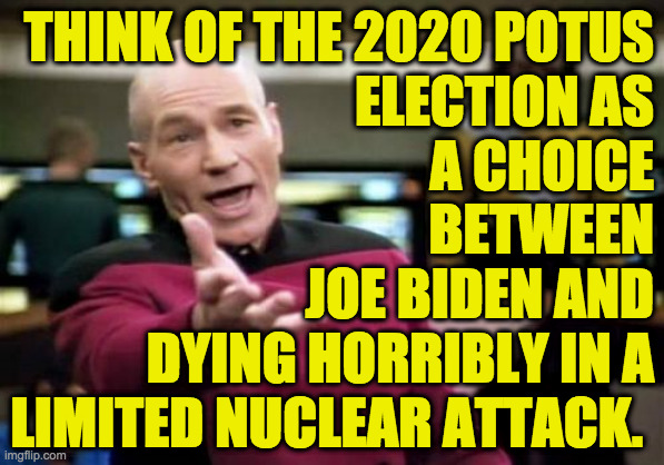Give your grandkids a chance to be English-speaking democrats. | THINK OF THE 2020 POTUS
ELECTION AS
A CHOICE
BETWEEN
JOE BIDEN AND
DYING HORRIBLY IN A
LIMITED NUCLEAR ATTACK. | image tagged in memes,picard wtf,connect the dots,before it's too late | made w/ Imgflip meme maker