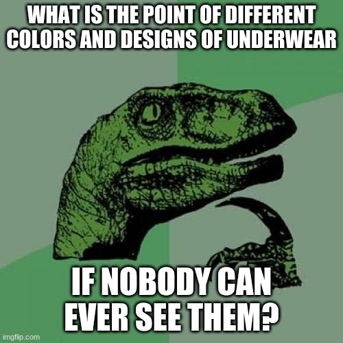 Unless...you know. *wink wink* | WHAT IS THE POINT OF DIFFERENT COLORS AND DESIGNS OF UNDERWEAR; IF NOBODY CAN EVER SEE THEM? | image tagged in memes,philosoraptor,underwear,clothes,so yeah | made w/ Imgflip meme maker