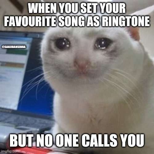 Sadness | WHEN YOU SET YOUR FAVOURITE SONG AS RINGTONE; @SANJIBANSINHA; BUT NO ONE CALLS YOU | image tagged in crying cat | made w/ Imgflip meme maker