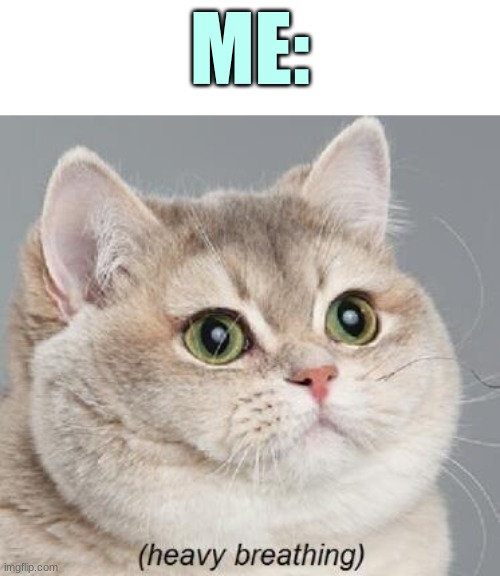 Heavy Breathing Cat Meme | ME: | image tagged in memes,heavy breathing cat | made w/ Imgflip meme maker