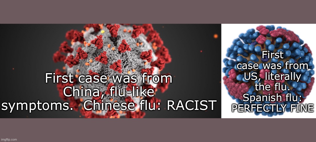 Sense = 0 | First case was from US, literally the flu. Spanish flu: PERFECTLY FINE; First case was from China, flu-like symptoms.  Chinese flu: RACIST | image tagged in coronavirus | made w/ Imgflip meme maker