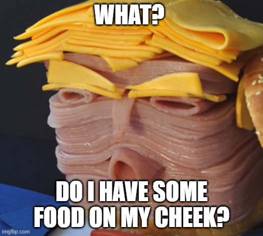 food on my cheek | WHAT? DO I HAVE SOME FOOD ON MY CHEEK? | image tagged in food on my cheek | made w/ Imgflip meme maker