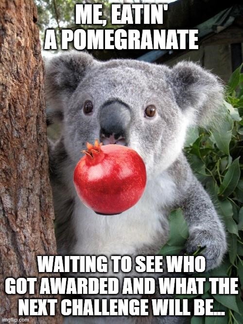 <Tick Tock Tick Tock> | ME, EATIN' A POMEGRANATE; WAITING TO SEE WHO GOT AWARDED AND WHAT THE NEXT CHALLENGE WILL BE... | image tagged in pomegranate | made w/ Imgflip meme maker