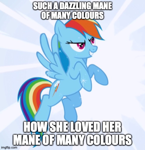 The 'Fash' Is For Fashion | SUCH A DAZZLING MANE
OF MANY COLOURS; HOW SHE LOVED HER MANE OF MANY COLOURS | image tagged in memes,my little pony,rainbow dash,fabulous | made w/ Imgflip meme maker
