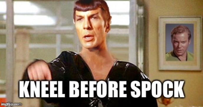I Defy You | image tagged in kneel before spock | made w/ Imgflip meme maker