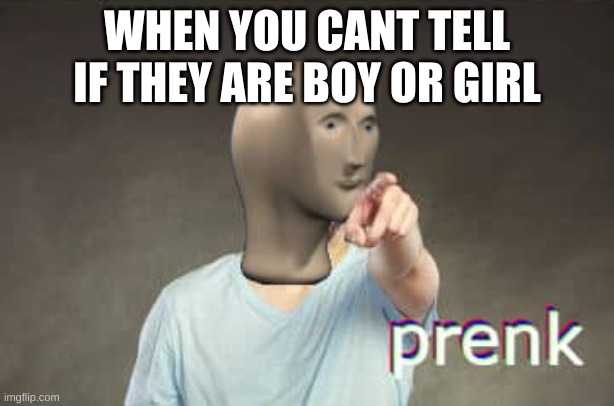 prenk | WHEN YOU CANT TELL IF THEY ARE BOY OR GIRL | image tagged in prenk | made w/ Imgflip meme maker