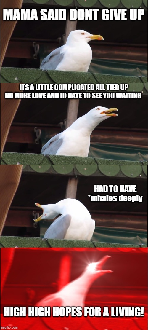 Pigeon! at the disco | MAMA SAID DONT GIVE UP; ITS A LITTLE COMPLICATED ALL TIED UP NO MORE LOVE AND ID HATE TO SEE YOU WAITING; HAD TO HAVE *inhales deeply; HIGH HIGH HOPES FOR A LIVING! | image tagged in memes,inhaling seagull | made w/ Imgflip meme maker