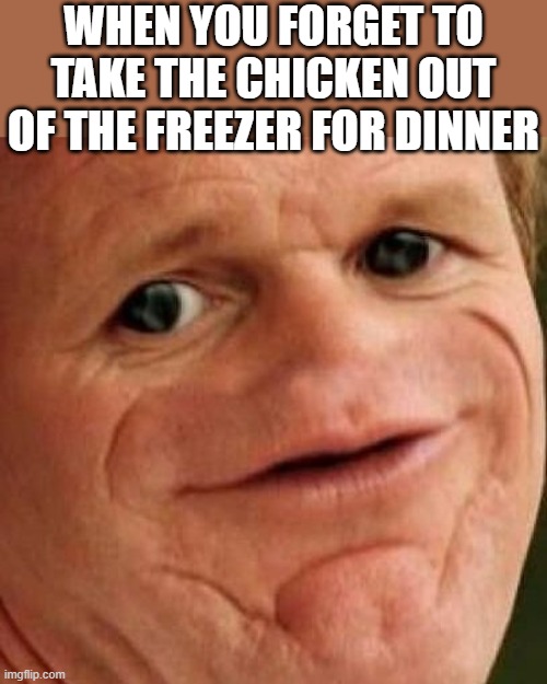 SOSIG | WHEN YOU FORGET TO TAKE THE CHICKEN OUT OF THE FREEZER FOR DINNER | image tagged in sosig,i'm 15 so don't try it,who reads these | made w/ Imgflip meme maker