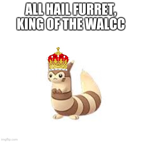 Furret | ALL HAIL FURRET, KING OF THE WALCC | image tagged in furret | made w/ Imgflip meme maker