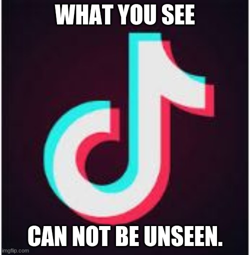 Tik Tok | WHAT YOU SEE; CAN NOT BE UNSEEN. | image tagged in tik tok | made w/ Imgflip meme maker