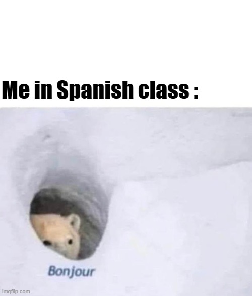 Languege | Me in Spanish class : | image tagged in bonjour | made w/ Imgflip meme maker