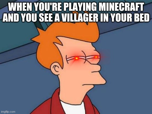 Futurama Fry | WHEN YOU'RE PLAYING MINECRAFT AND YOU SEE A VILLAGER IN YOUR BED | image tagged in memes,futurama fry | made w/ Imgflip meme maker