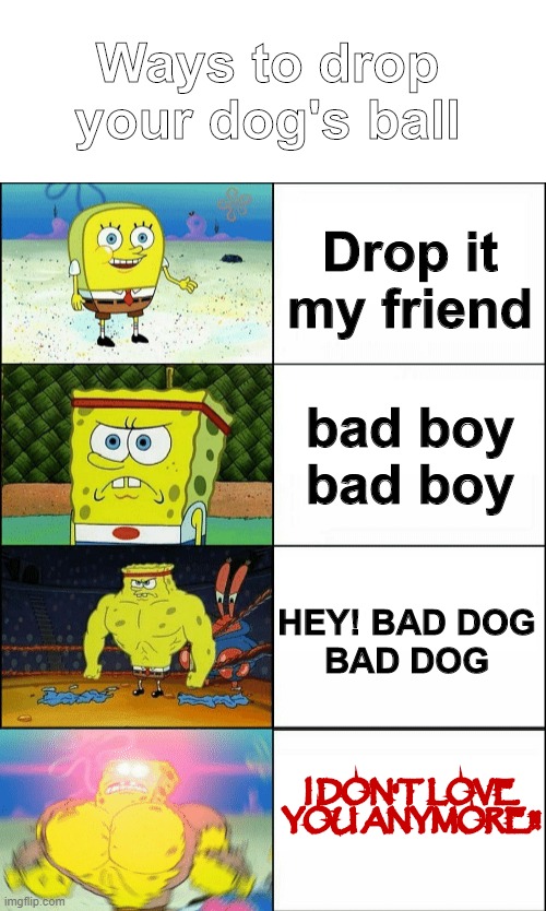 Increasingly buff spongebob | Ways to drop your dog's ball; Drop it my friend; bad boy
bad boy; HEY! BAD DOG
BAD DOG; I DON'T LOVE YOU ANYMORE!! | image tagged in increasingly buff spongebob | made w/ Imgflip meme maker