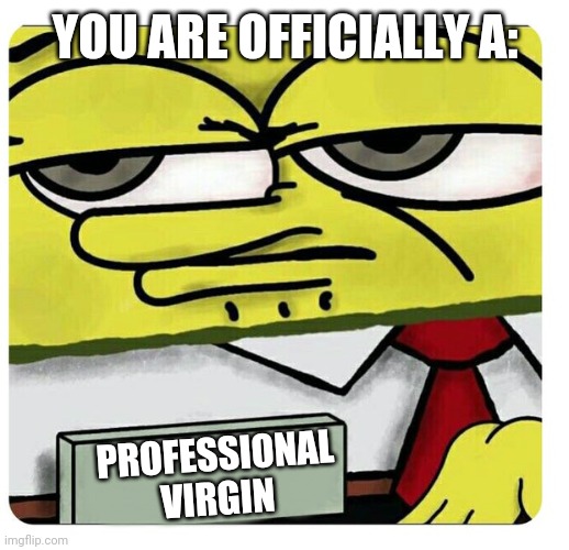 Spongebob empty professional name tag | YOU ARE OFFICIALLY A: PROFESSIONAL VIRGIN | image tagged in spongebob empty professional name tag | made w/ Imgflip meme maker