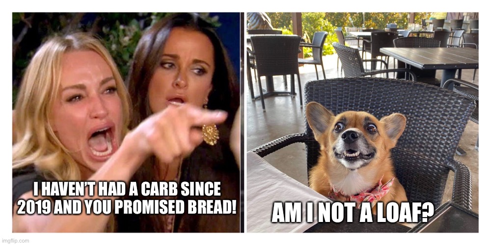 She really should stop dating animals. | I HAVEN’T HAD A CARB SINCE 2019 AND YOU PROMISED BREAD! AM I NOT A LOAF? | image tagged in called out corgi | made w/ Imgflip meme maker
