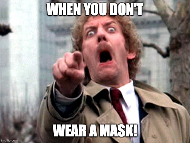 Masks | WHEN YOU DON'T; WEAR A MASK! | image tagged in screaming donald sutherland | made w/ Imgflip meme maker