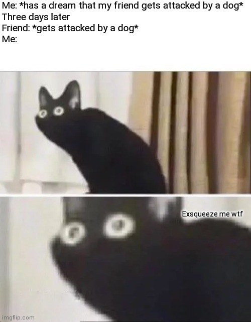 I need to pay more attention to my dreams | Me: *has a dream that my friend gets attacked by a dog*
Three days later
Friend: *gets attacked by a dog*
Me:; Exsqueeze me wtf | image tagged in oh no black cat | made w/ Imgflip meme maker