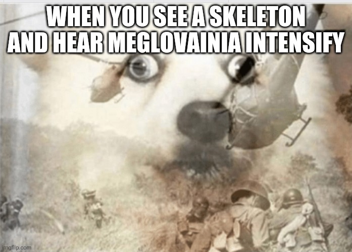 PTSD dog | WHEN YOU SEE A SKELETON AND HEAR MEGLOVAINIA INTENSIFY | image tagged in ptsd dog | made w/ Imgflip meme maker