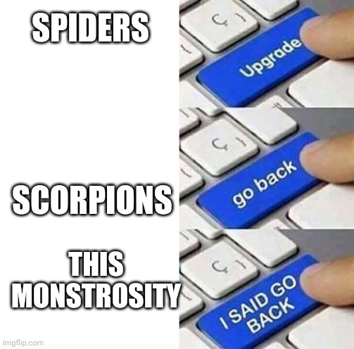 I SAID GO BACK | SPIDERS SCORPIONS THIS MONSTROSITY | image tagged in i said go back | made w/ Imgflip meme maker