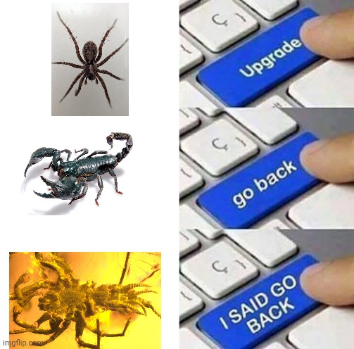 I SAID GO BACK | image tagged in i said go back | made w/ Imgflip meme maker