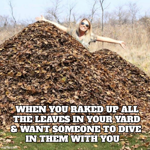 image tagged in leaves,poacher,hunter,leaf pile,yard work,rake | made w/ Imgflip meme maker