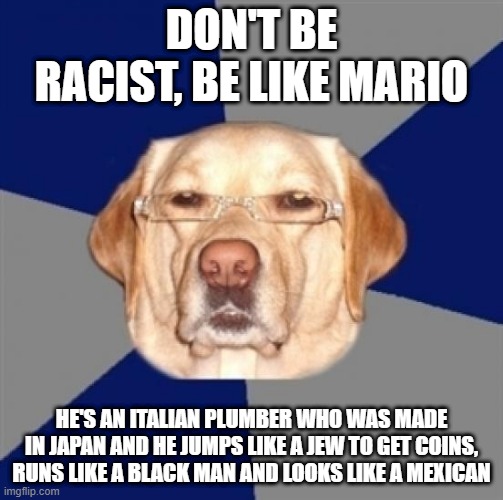 racist dog | DON'T BE RACIST, BE LIKE MARIO; HE'S AN ITALIAN PLUMBER WHO WAS MADE IN JAPAN AND HE JUMPS LIKE A JEW TO GET COINS, RUNS LIKE A BLACK MAN AND LOOKS LIKE A MEXICAN | image tagged in racist dog,funny dog memes,bad joke dog,dog meme,bad pun dog,racism | made w/ Imgflip meme maker