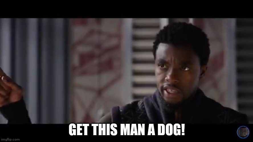 Get this man a dog! | GET THIS MAN A DOG! | image tagged in black panther - get this man a shield | made w/ Imgflip meme maker