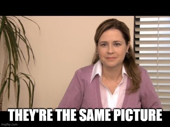 They're the same picture | THEY'RE THE SAME PICTURE | image tagged in they're the same picture | made w/ Imgflip meme maker