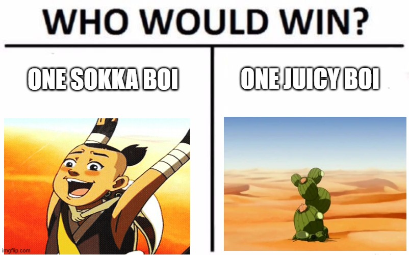 Who Would Win? Meme | ONE JUICY BOI; ONE SOKKA BOI | image tagged in memes,who would win | made w/ Imgflip meme maker
