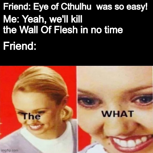 The What | Friend: Eye of Cthulhu  was so easy! Me: Yeah, we'll kill the Wall Of Flesh in no time; Friend: | image tagged in the what | made w/ Imgflip meme maker