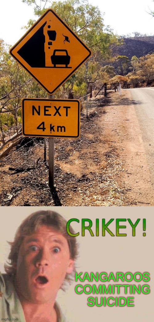Crikey! | KANGAROOS COMMITTING SUICIDE | image tagged in memes,steve irwin crocodile hunter,crikey,44colt,kangaroo,stupid signs | made w/ Imgflip meme maker