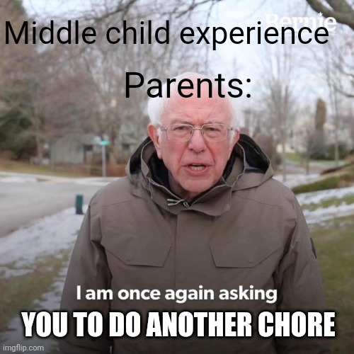 Bernie I Am Once Again Asking For Your Support Meme | Middle child experience; Parents:; YOU TO DO ANOTHER CHORE | image tagged in memes,bernie i am once again asking for your support | made w/ Imgflip meme maker